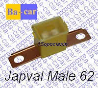 Japval Male 62